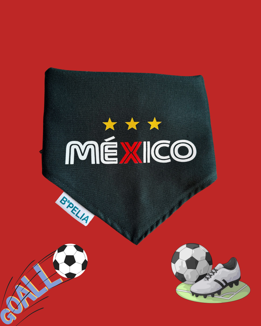 Selección