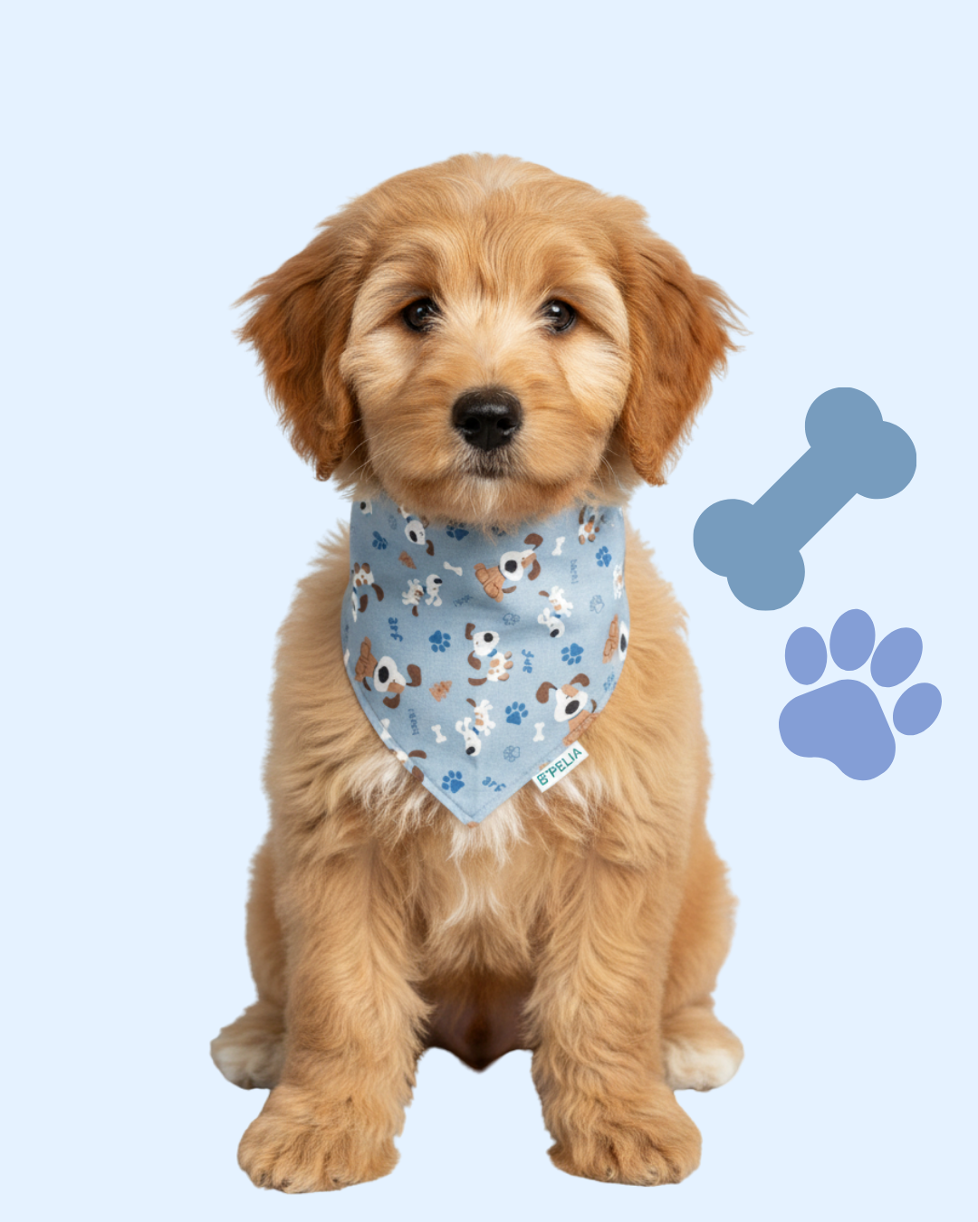 Doggy