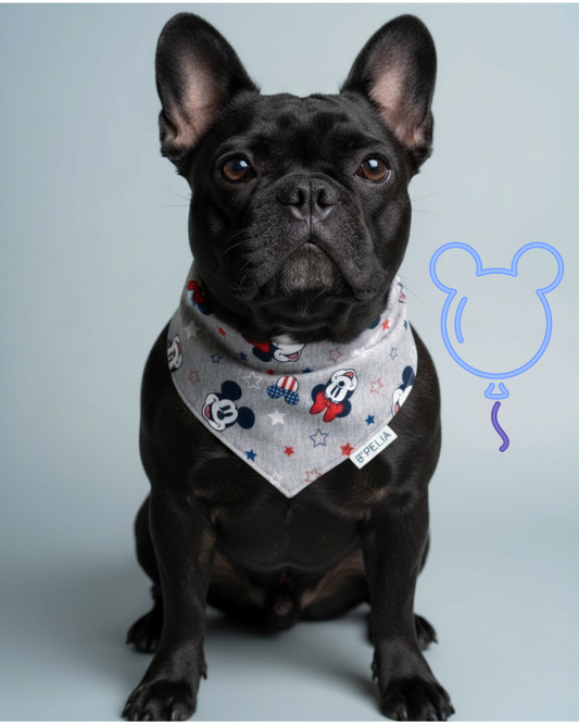 Mickey