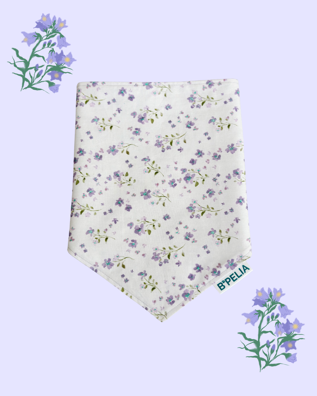 Jacarandas