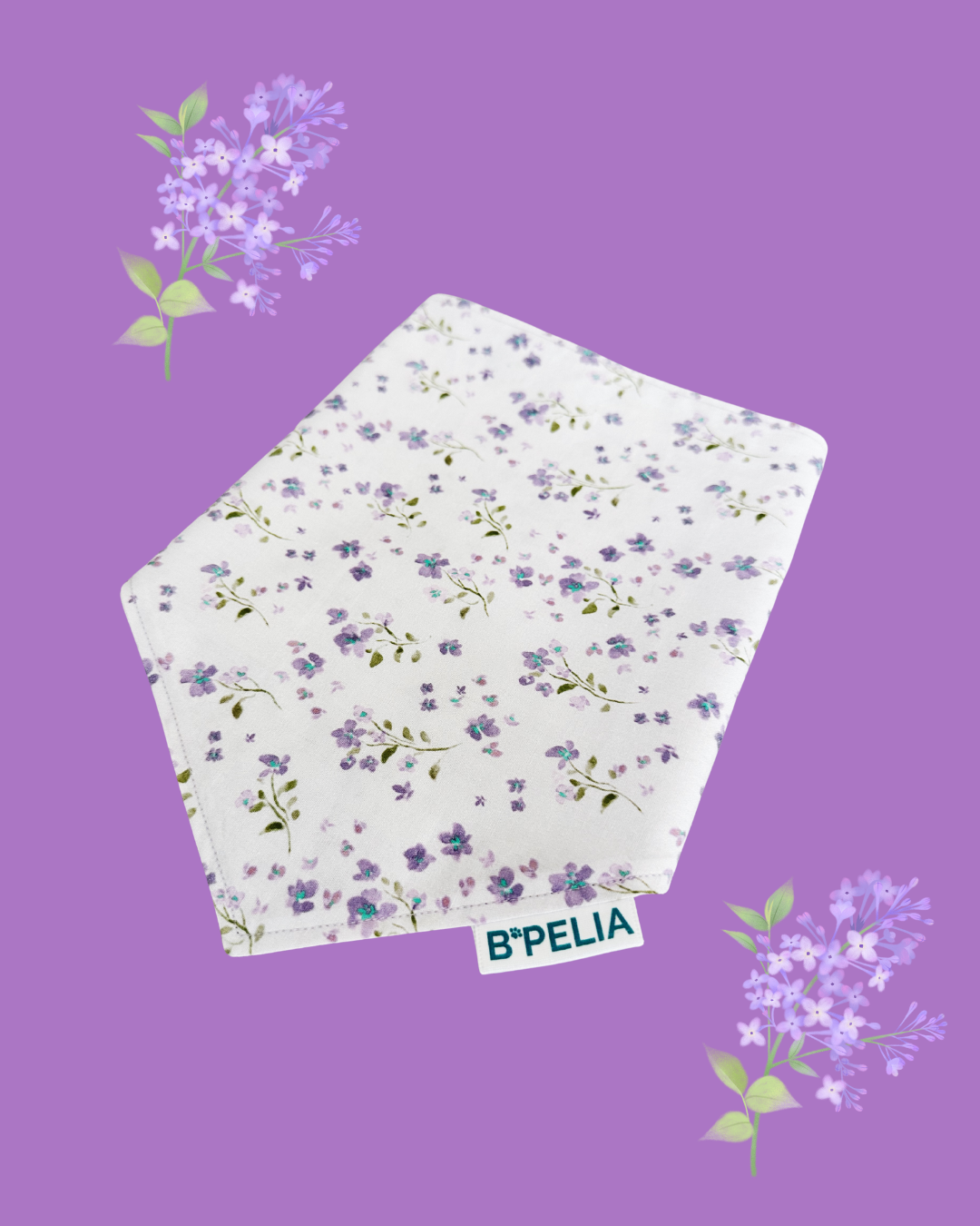 Jacarandas