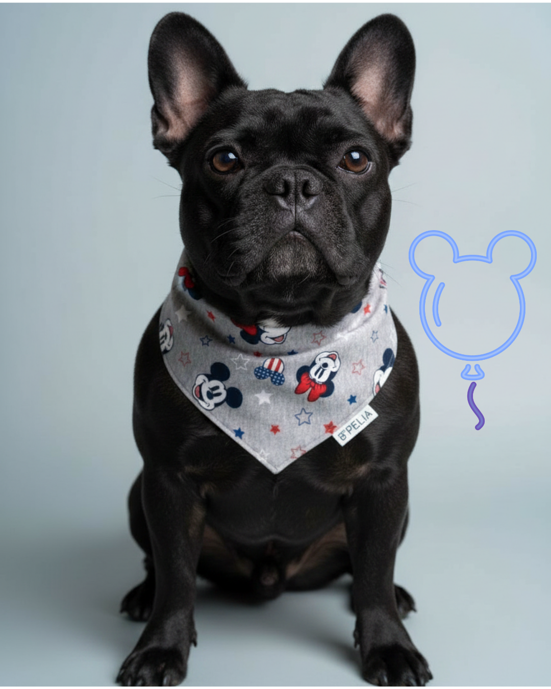 Mickey